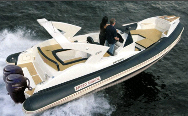 Sport 799